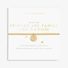 A Littles Accessories | Bracelets | The Friends Are Family You Choose Bracelet in
